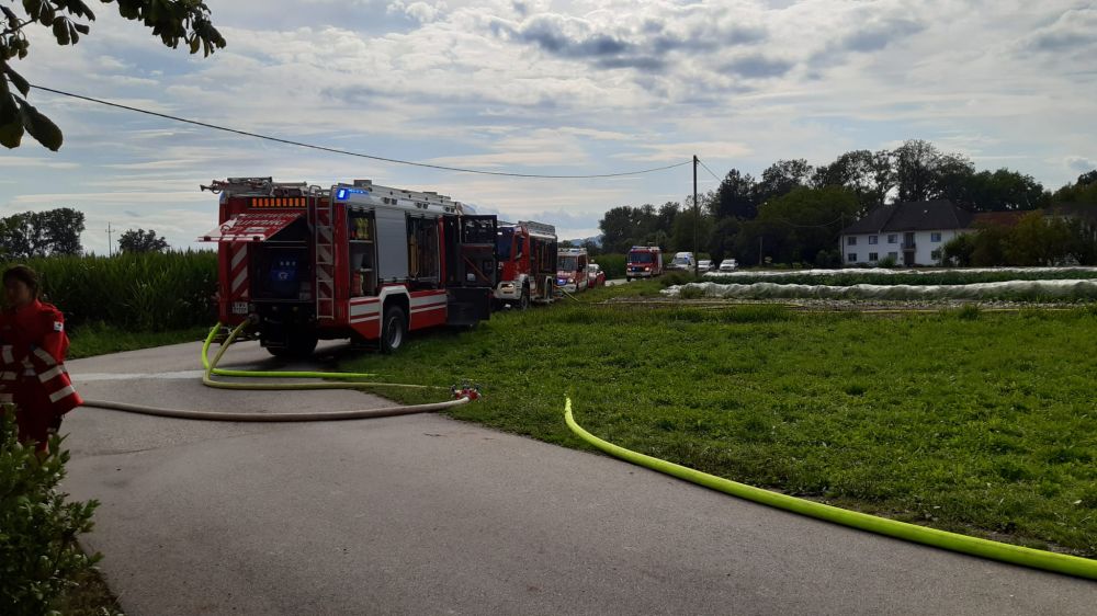 2025_07_17_Brand (38)