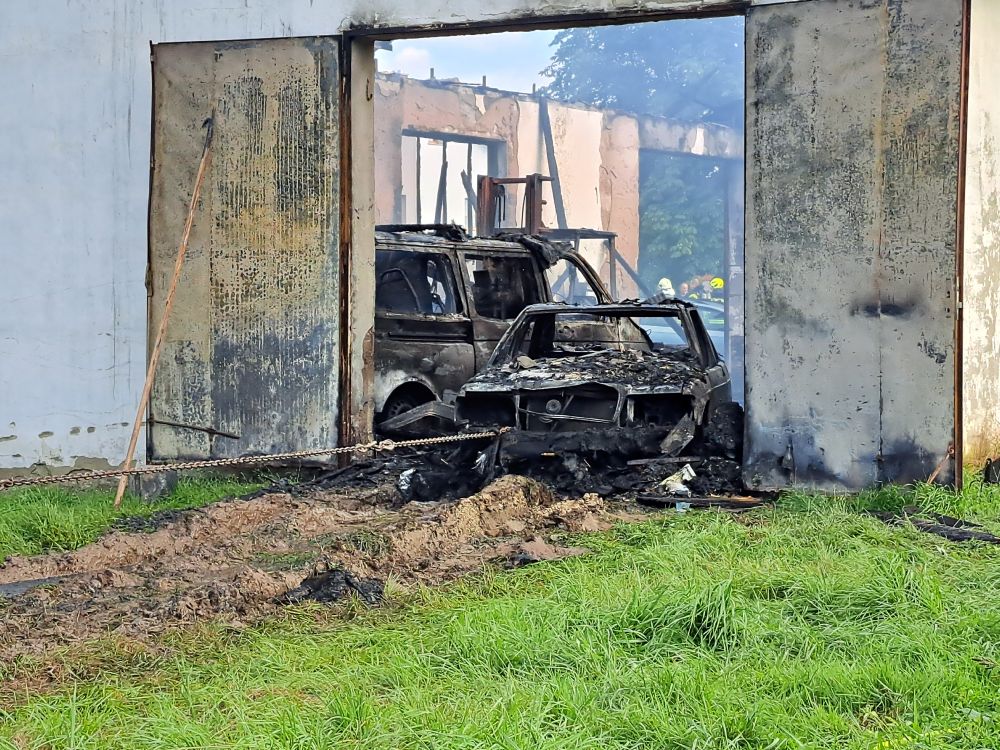 2025_07_17_Brand (52)