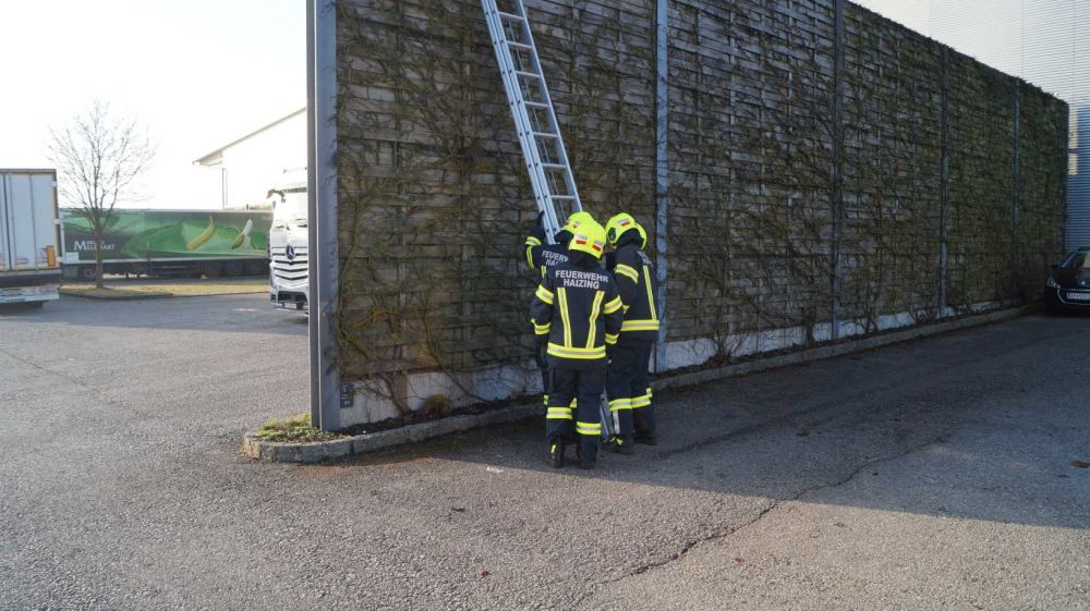 2026_03_07_Truppmann (19)