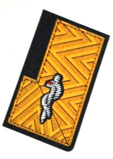 1971 BFA