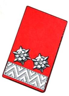 1971 OLM