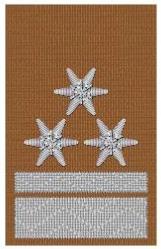 DG HBM d.F. braun 1