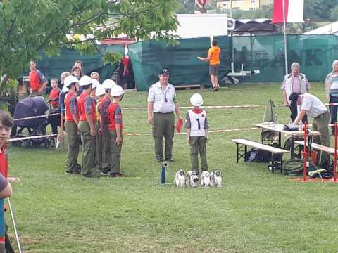 2016 06 23 Bewerb (2)